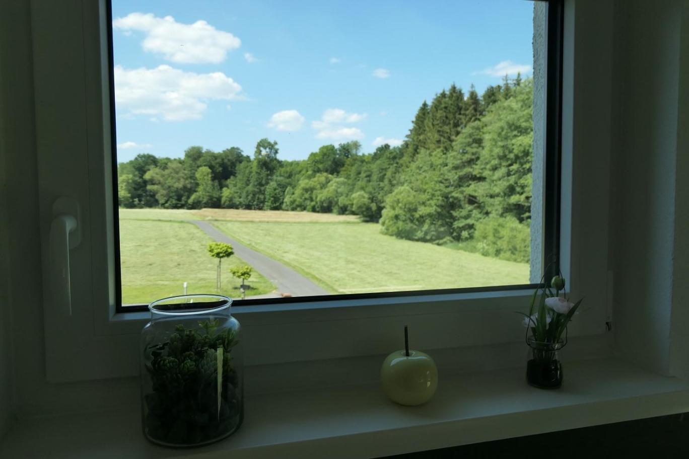 Fewo Hof Elbbachtal Westerburg  Room photo